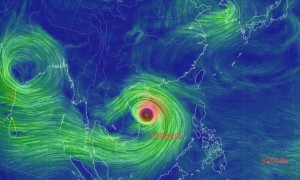 原创 
            17级以上风王2次登陆我国：大暴雨不停，台风博罗依路径争议大