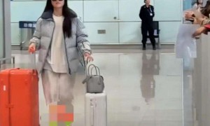 王诗龄频繁现身北京机场，父母动向成谜，神秘行李箱引路人围观
