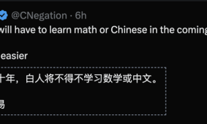 Meta华人太多了！外国员工崩溃：不懂中文就像局外人