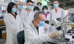 事关快速抗抑郁疗法，我国科学家有新突破！